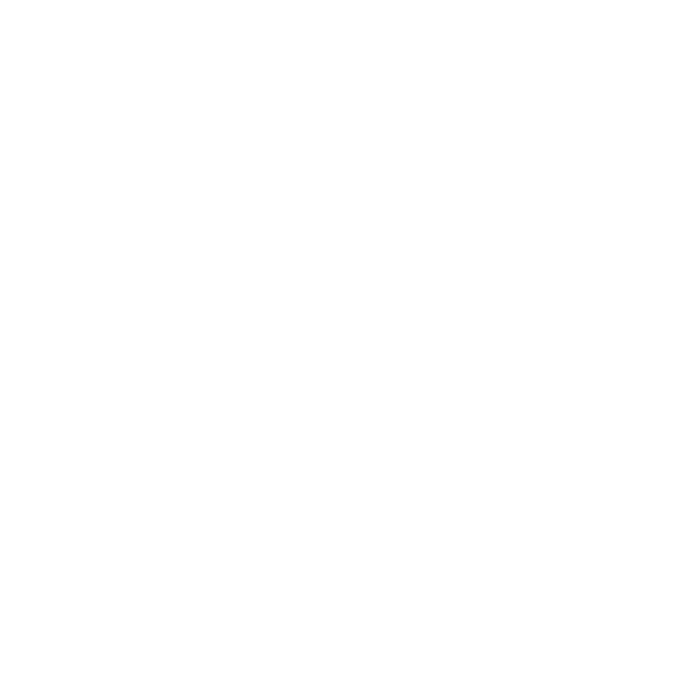 Net Link Brasil